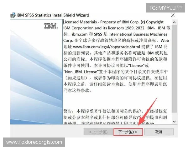 lt官网下载安装过程中常见问题及解决方案，确保用户顺利完成软件安装