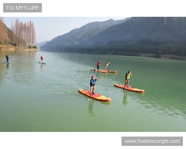 乐享体育app下载带你开启全新运动体验,随时随地享受运动的乐趣