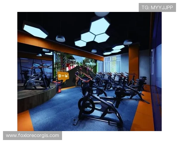 乐动体育系列网投平台的支付系统安全性与便捷性提升措施探讨