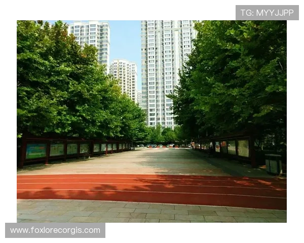 乐天体育登录入口密码找回与账户安全保障措施