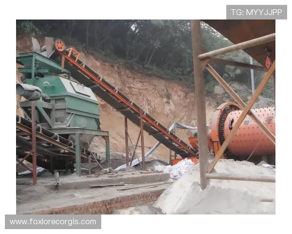 乐投letou国际:多样化的支付方式,方便快捷的存取款流程满足不同用户需求