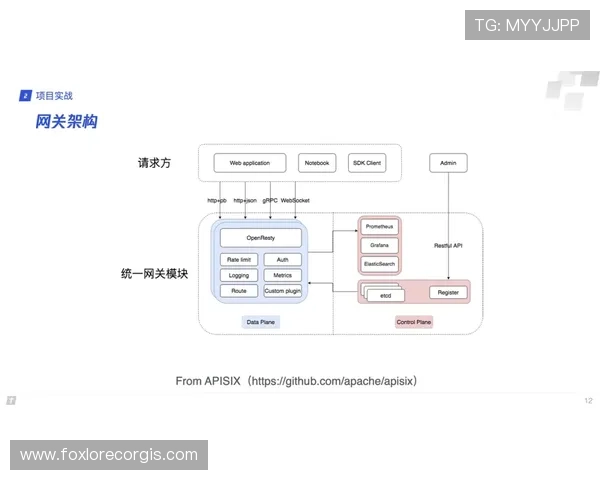 乐投足球官网用户注册流程与登录指南详尽解析帮助新手快速上手