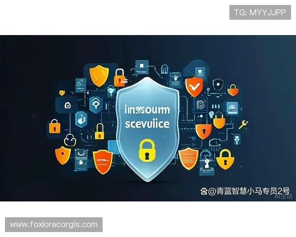 互联网娱乐网站的安全保障措施与用户隐私保护策略