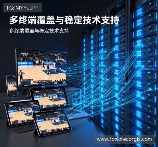 我们的品牌价值